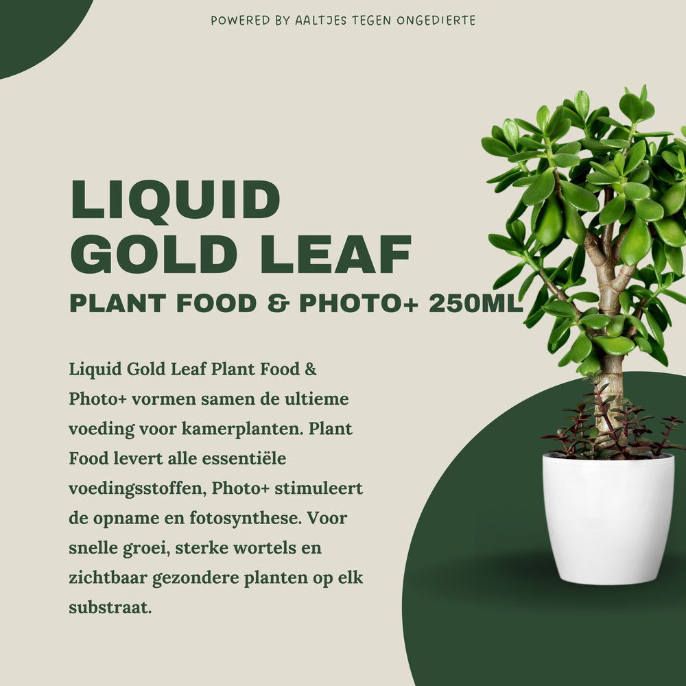 
                      
                        Liquid Gold Leaf Plant Food+ Liquid Gold Leaf Photo+ (2x 250ml)
                      
                    