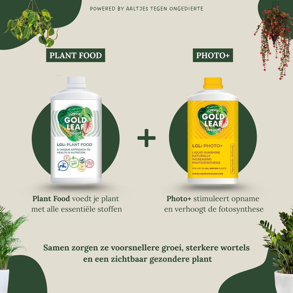 
                      
                        Liquid Gold Leaf Plant Food+ Liquid Gold Leaf Photo+ (2x 250ml)
                      
                    