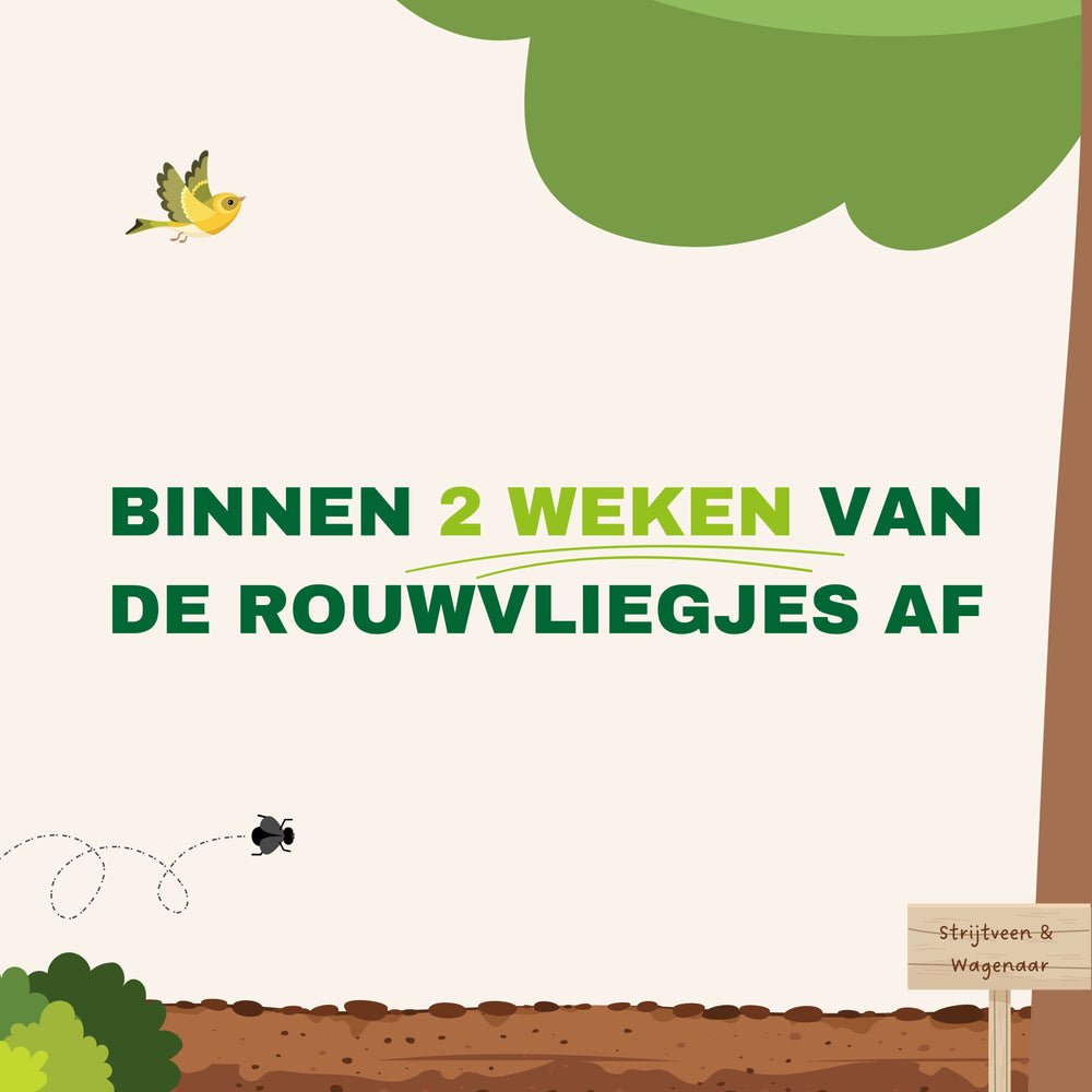 
                      
                        Aaltjes tegen Rouwvliegjes
                      
                    